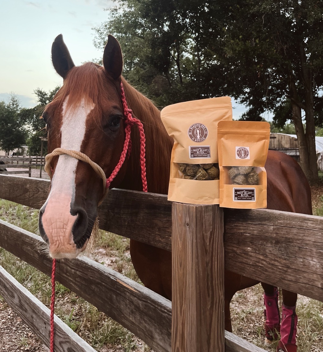 Horse with BRB Co. treat bags on a wooden fence